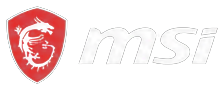 MSI